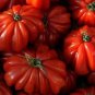 Rare Zapotec Ruffled Tomato Organic 200 Seeds