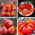 Tlacolula Tomato Vegetable 80 Seeds