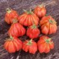 Tlacolula Tomato Vegetable 80 Seeds
