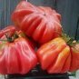 Tlacolula Tomato Vegetable 80 Seeds