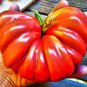 Tlacolula Tomato Vegetable 80 Seeds