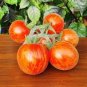 Red Peach Tomato 40 Seeds