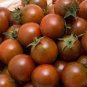 Harbin Black Cherry Tomato 600 Seeds