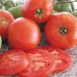 Rare Milky Red Elliptical M Sweet Tomato F1 600 Seeds