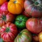 Mix Tomato 2000 Seeds