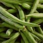 Organic Runner Dwarf Climbing Green Pea 300 Seeds