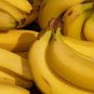 Dwarf Banana 200 Seeds
