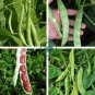 Kidney Bean 20 Seeds