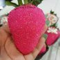Rare Purple Strawberry 100 Seeds