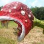 Plant Enchantress Carnivorous 200 Seeds
