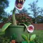 Plant Enchantress Carnivorous 200 Seeds