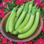 Taiwan Green Long Eggplant F1 20 Seeds