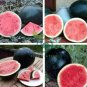 Long Big Black Skin Pink Watermelon Fruit 16 Seeds