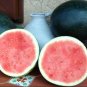 Long Big Black Skin Pink Watermelon Fruit 16 Seeds