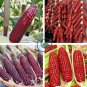 Red Waxy Corn 20 Seeds