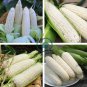 White Glutinous Maize Corn 400 Seeds