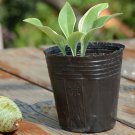 Round Black Plastic Nursery Plant Pots Disposable Garden Tools 100PCS 3.74in x 3.93