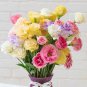 Mixed Eustoma Seeds Imported Eustoma grandiflorum Mixed Dozens of Varieties 200 Seeds