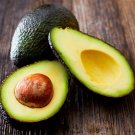 Avocado Seeds Green Fruit Very Delicious Persea Americana Mill Pear 20 Seeds