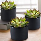 Artificial Succulent Plants Potted 12 Seeds