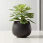 Artificial Succulent Plants Potted 12 Seeds