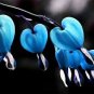 Dicentra Spectabilis Bonsai Bleeding Heart Classic Cottage Garden Plant 200 Seeds