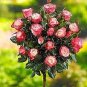 Rare MUL-Color Rose Amazingly Beautiful Indoor Rainbow Roses Tree Bonsai Flower 400 Seeds