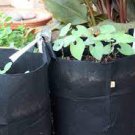 Fabrics Garden Nursery Pots Seedling-Raising Bags 2 Seeds