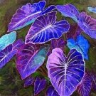 Colorful Caladium Dwarf Bonsai Plant Burnt Rose Elephant Ear Beautiful Bonsai 400 Seeds