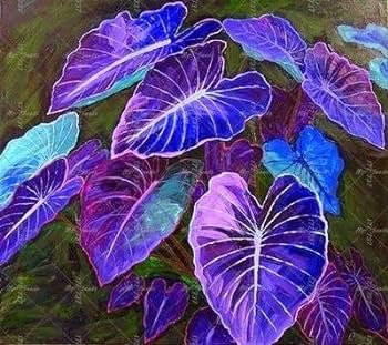 Colorful Caladium Dwarf Bonsai Plant Burnt Rose Elephant Ear Beautiful Bonsai 400 Seeds