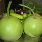 Asian Vegetable Calabash Round Edible Bottle Gourd 200 Seeds