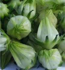 Green Hibiscus 200 Seeds