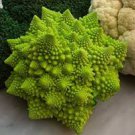 Roman Broccoli Seeds Vegetables 200 Seeds