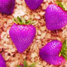 Rare Purple Strawberry 100 Seeds
