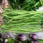 Vigna sinensis Seeds Yard Long Bean Mixed Red and Green Color 200 Seeds