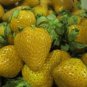 Giant Strawberry Yellow Color 600 Seeds