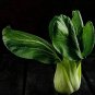 Vegetable Chinese cabbage, Suzhou green 4000 Seeds