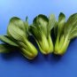 Vegetable Chinese cabbage, Suzhou green 4000 Seeds