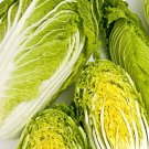 CHINESE CABBAGE (Buk Choy-White Stem) 1600 Seeds