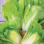 CHINESE CABBAGE (Buk Choy-White Stem) 1600 Seeds