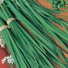 Heirloom Onion Chives 3000 Seeds