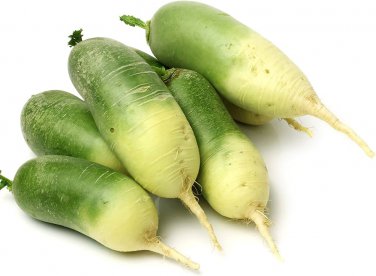 Organic green radish fruit radishes untreated garden 1600 Seeds
