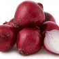 Onion Red Baron Giant Round Vegetable Planting Organic Heirloom 440 Seeds