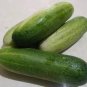 Fruit cucumber 160 Seeds