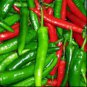 Seeds Chili Pepper Cayenne Red Hot Chili Organic Heirloom 3000 Seeds
