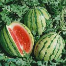 Watermelon 50 Seeds