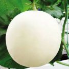 White Muskmelon Sugar Jar Melon Delicious Fruit Garden 400 Seeds