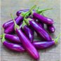 Purple Eggplant Italian Eggplant 200 Seeds