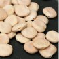 Lupini Beans Sweet Lupini 200 Seeds