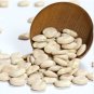Lupini Beans Sweet Lupini 200 Seeds